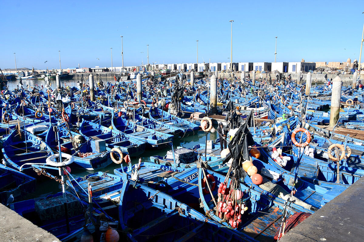 Fishing Fleet