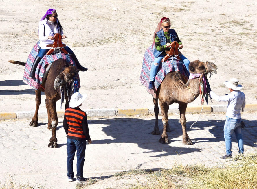 Camel Riders, Goreme