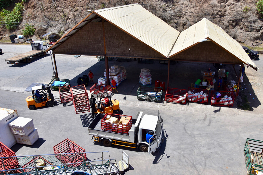 A Beehive of Activity