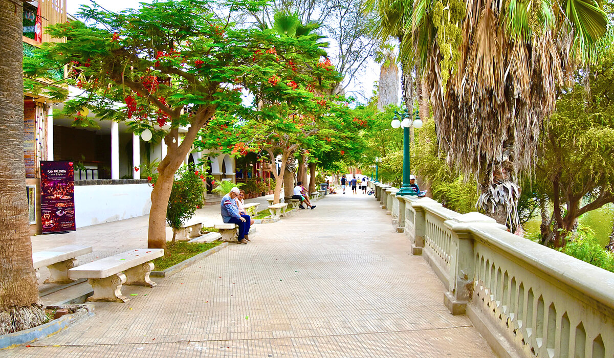 Huacachina Promenade