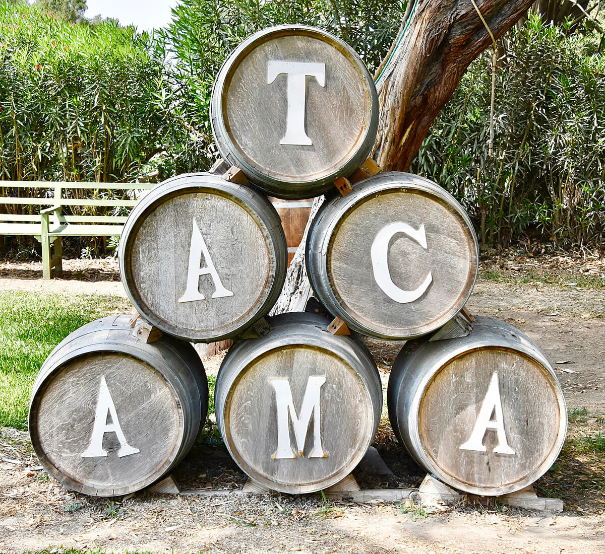 Tacama Wine Barrels, Ica Peru
