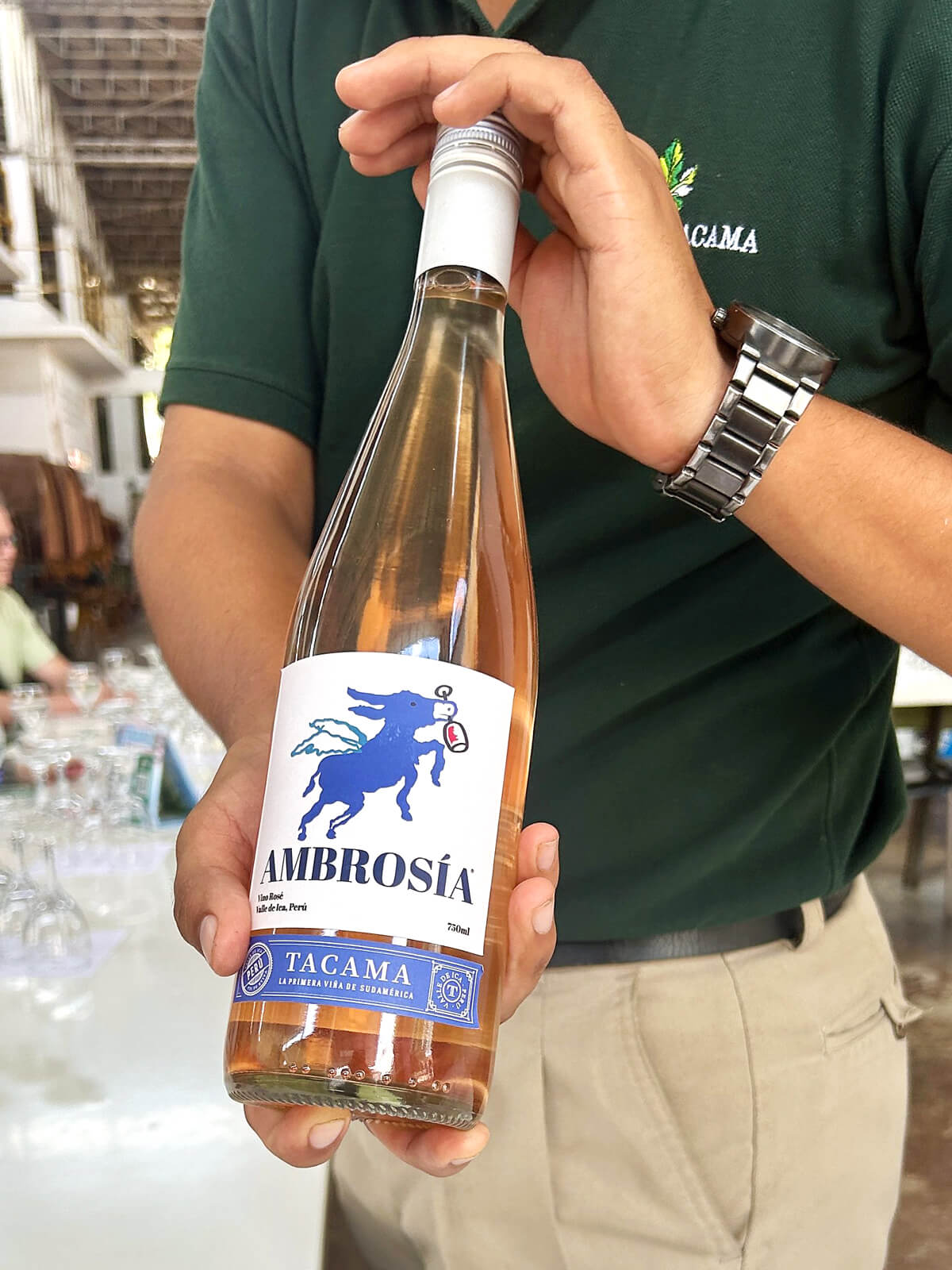 Tacama Ambrosia Rose