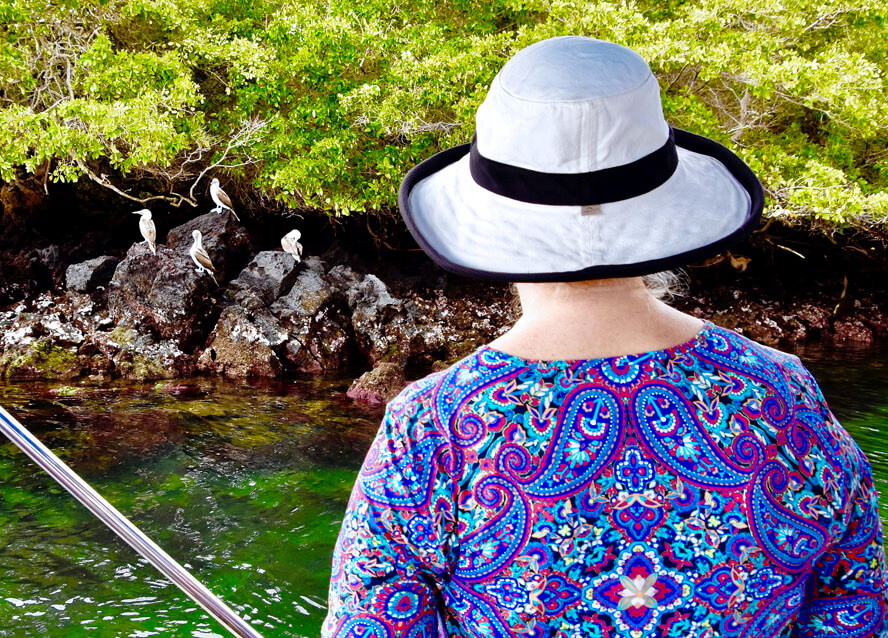 Approaching the Blue-Footed Boobies