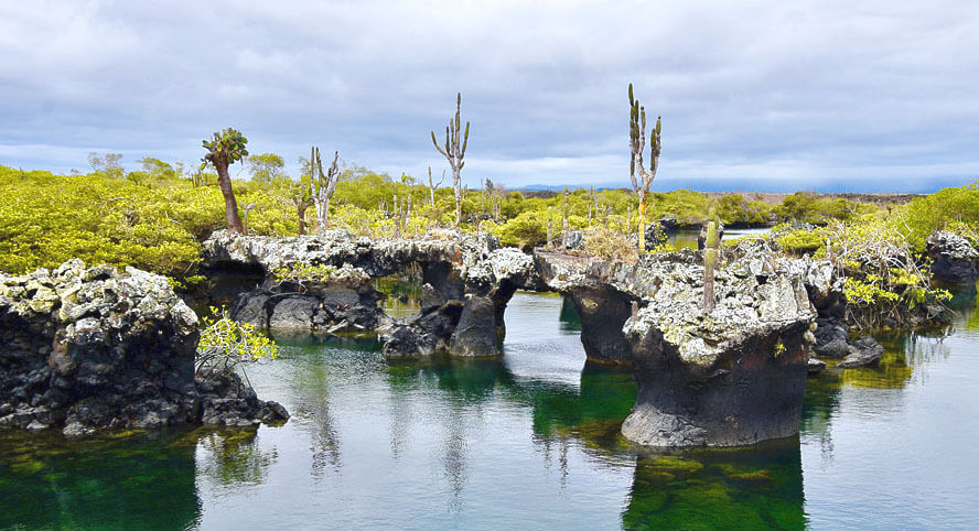 Otherworldly Landscape 2