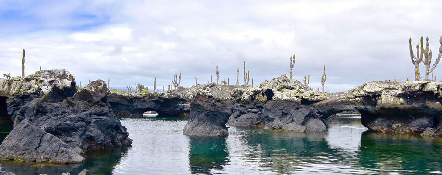 Otherworldly Landscape