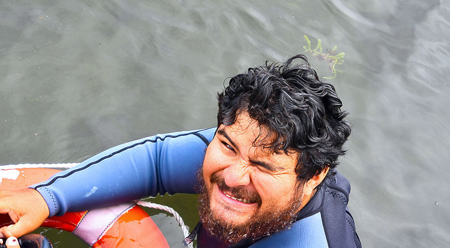 Trust Me, I Know What I'm Doing