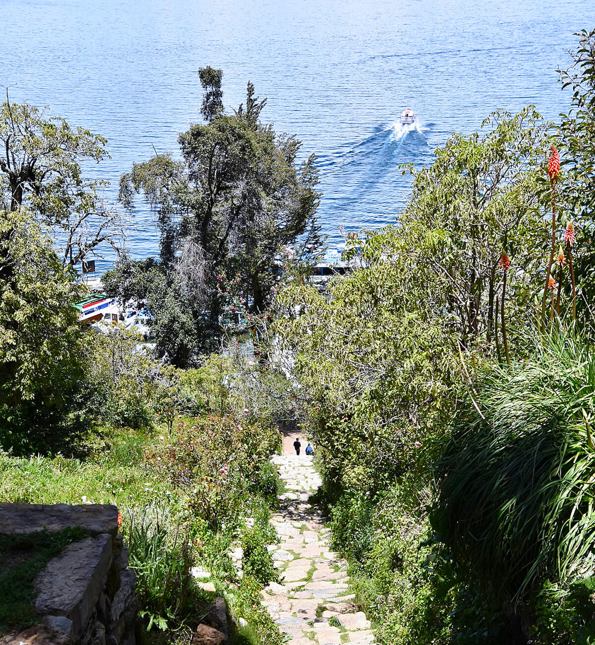 Inca Steps from Above