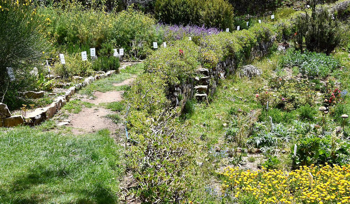 Isla del Sol Pathway