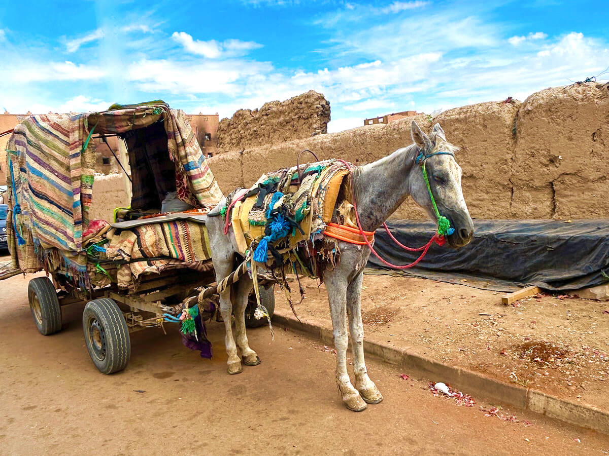 Horse and Cart