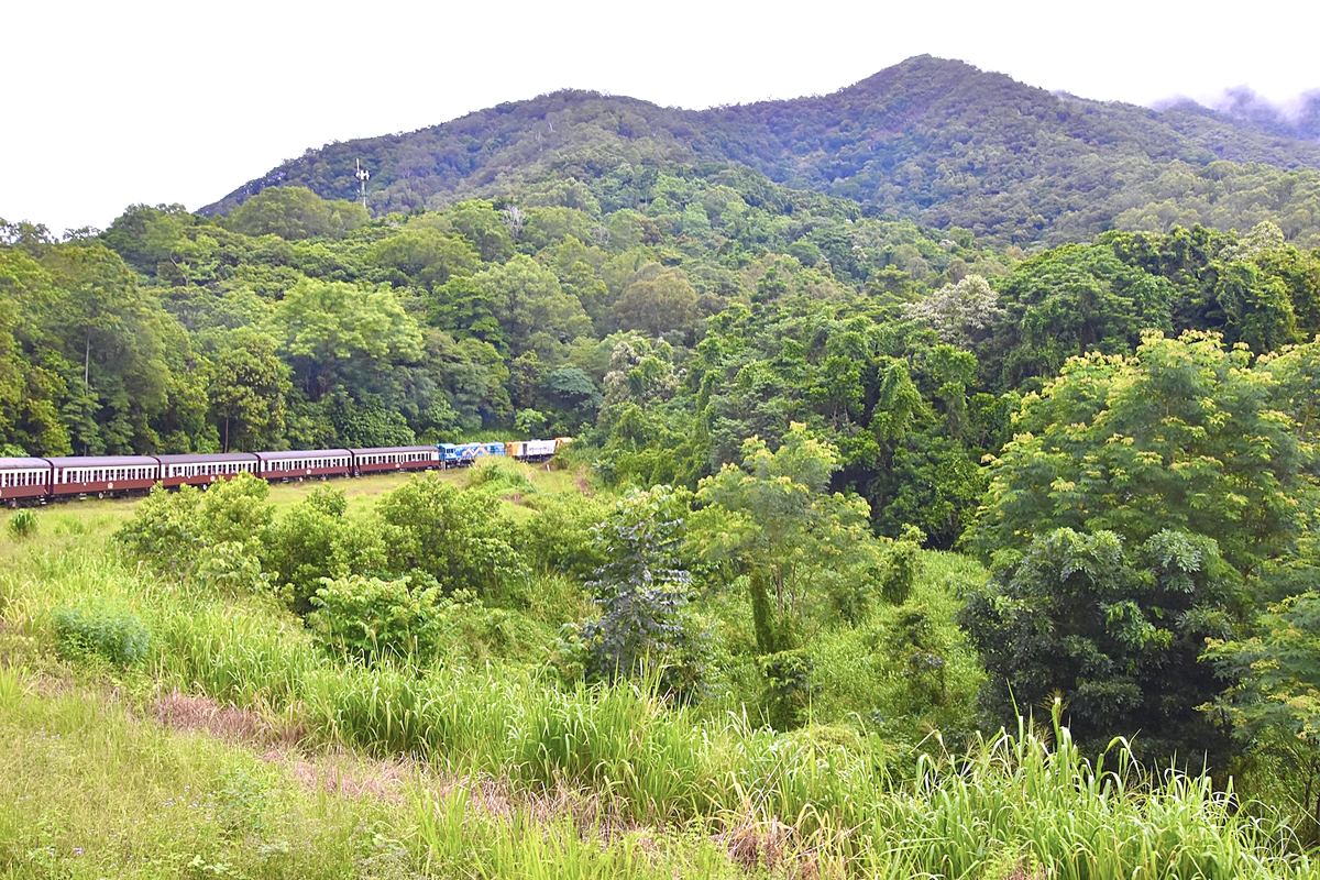 Kuranda Railway Train