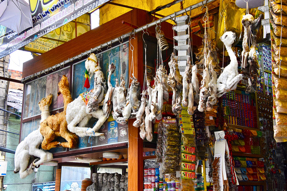 Llama Fetuses, Witches' Market