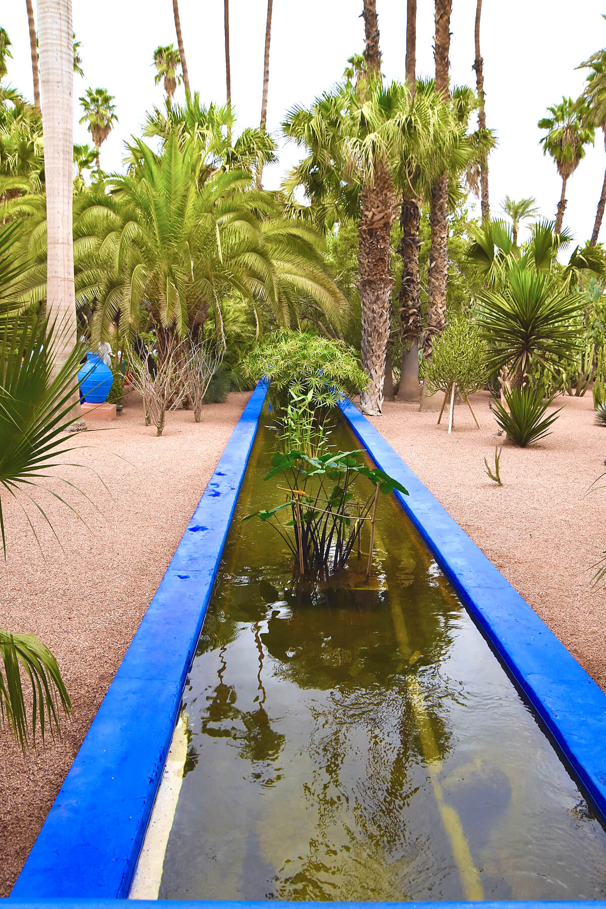 Blue Canal