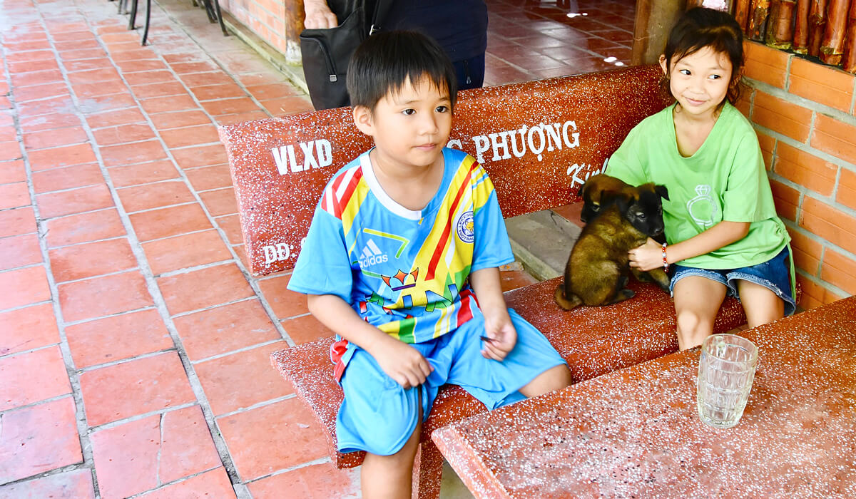 Two Kids, Two Puppies
