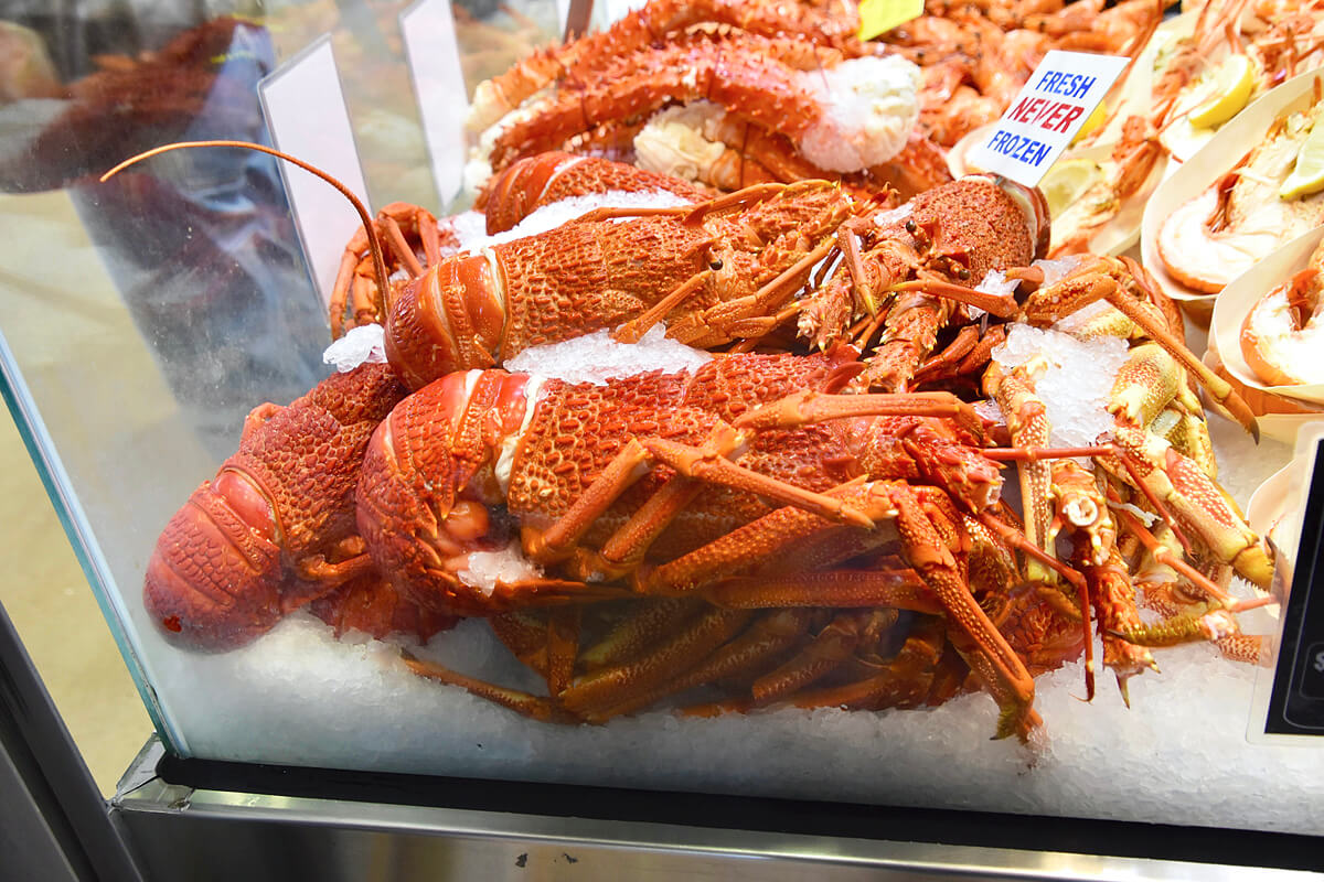 Australian Lobster