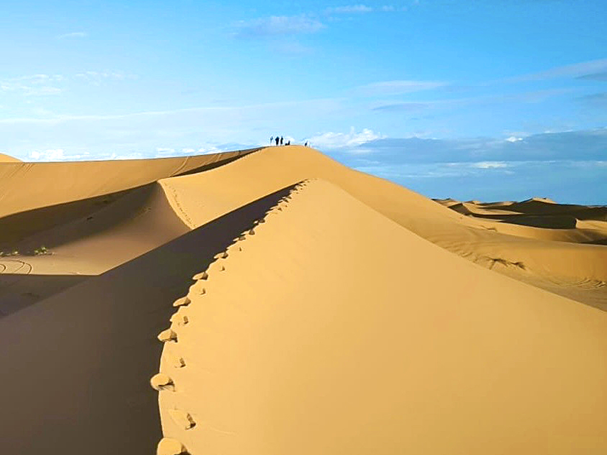 Atop the Dunes