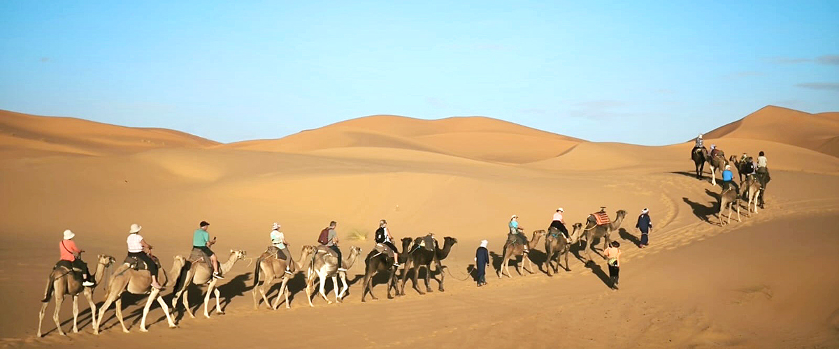 Camel Caravan