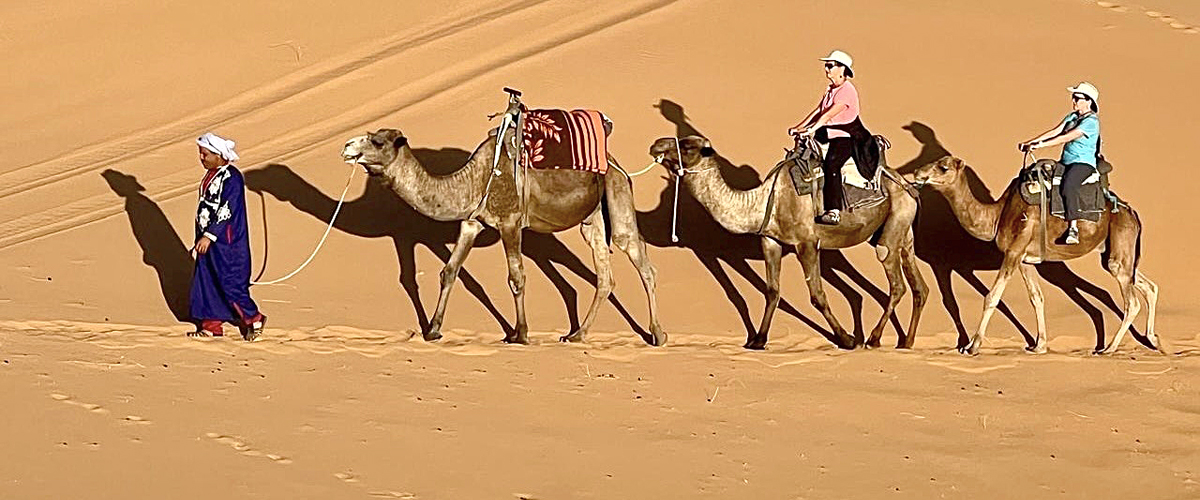 The Camel Riders