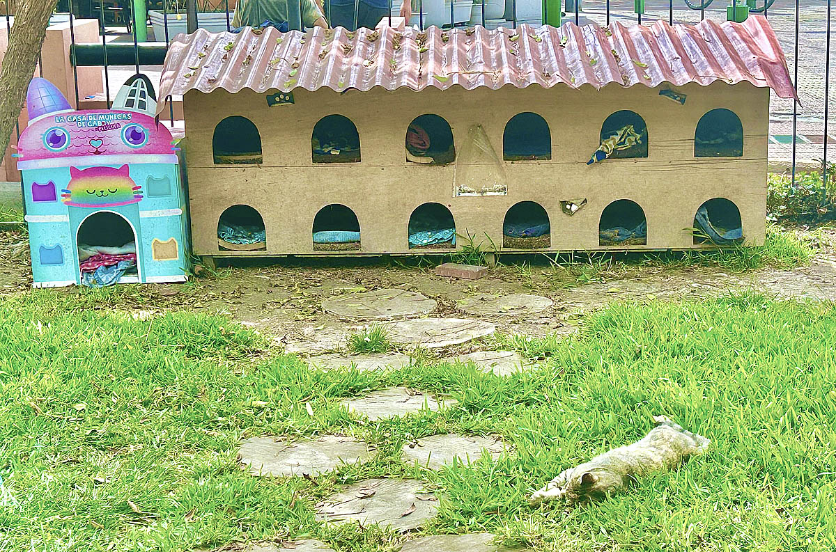 Cat Condo, Kennedy Park