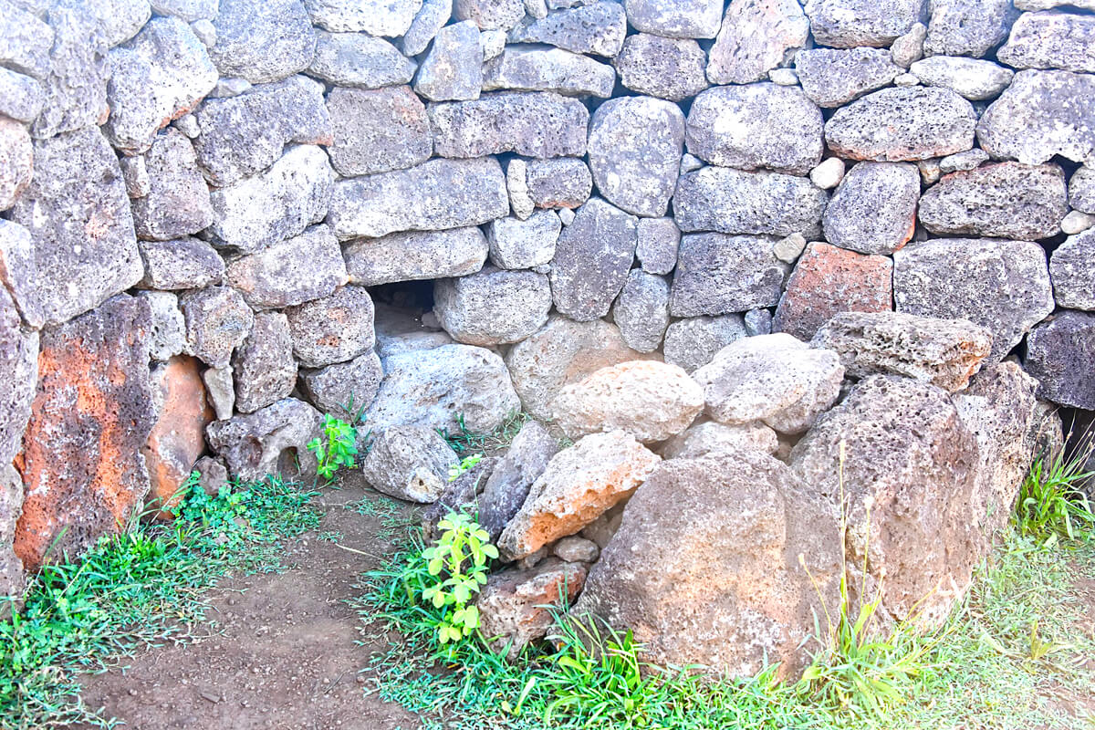 Rapa Nui Chicken Coop