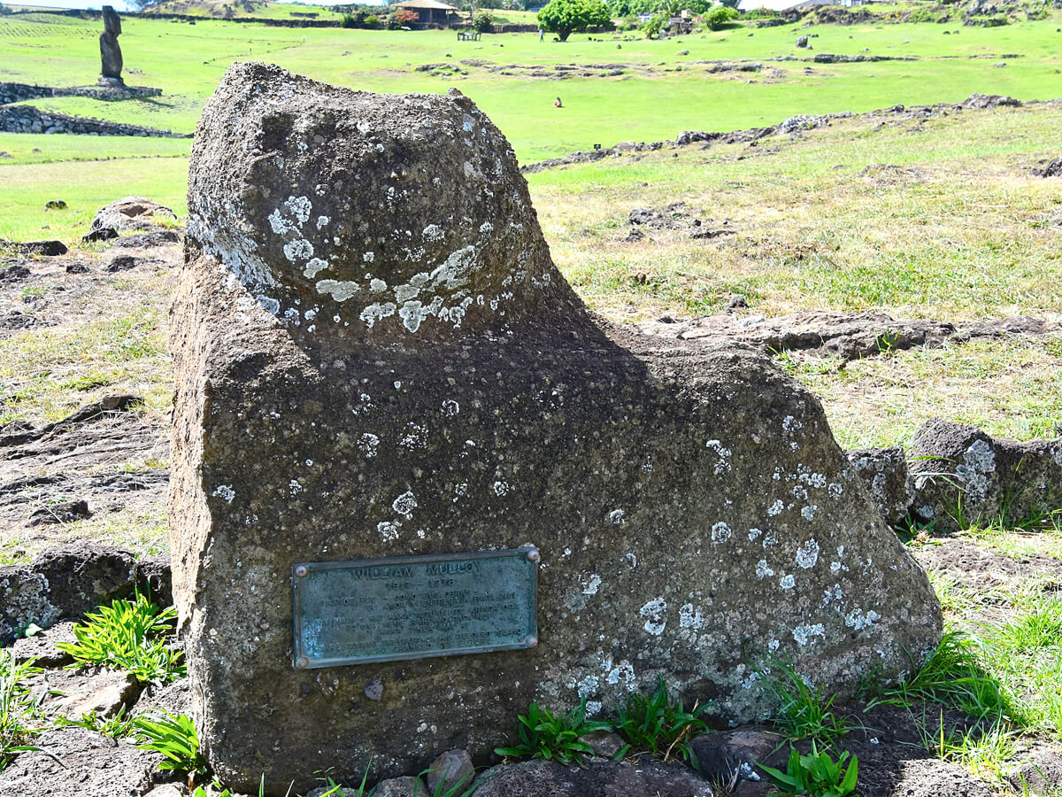 Grave of William Mulloy