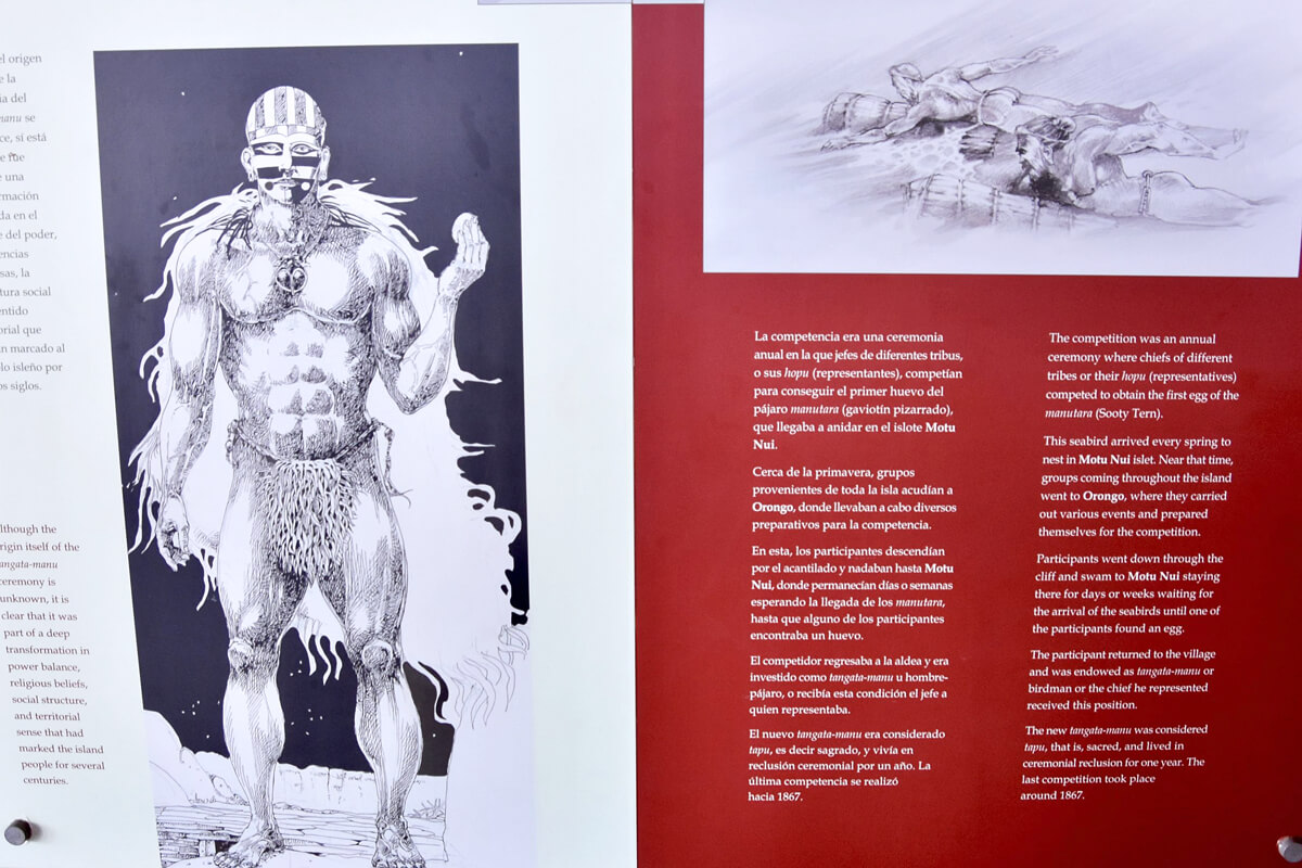 Legend of the Birdman