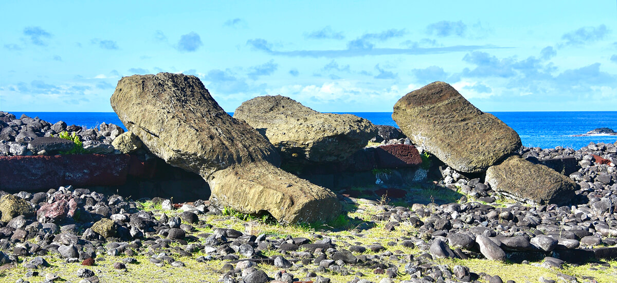 Moias Toppled in the Tribal War