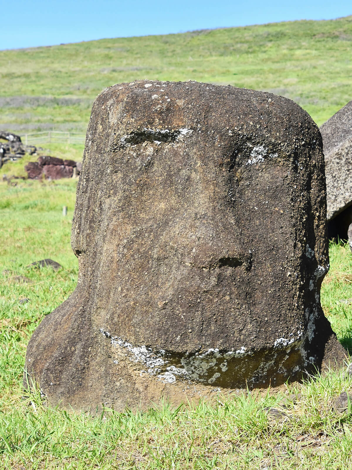Buried Moai