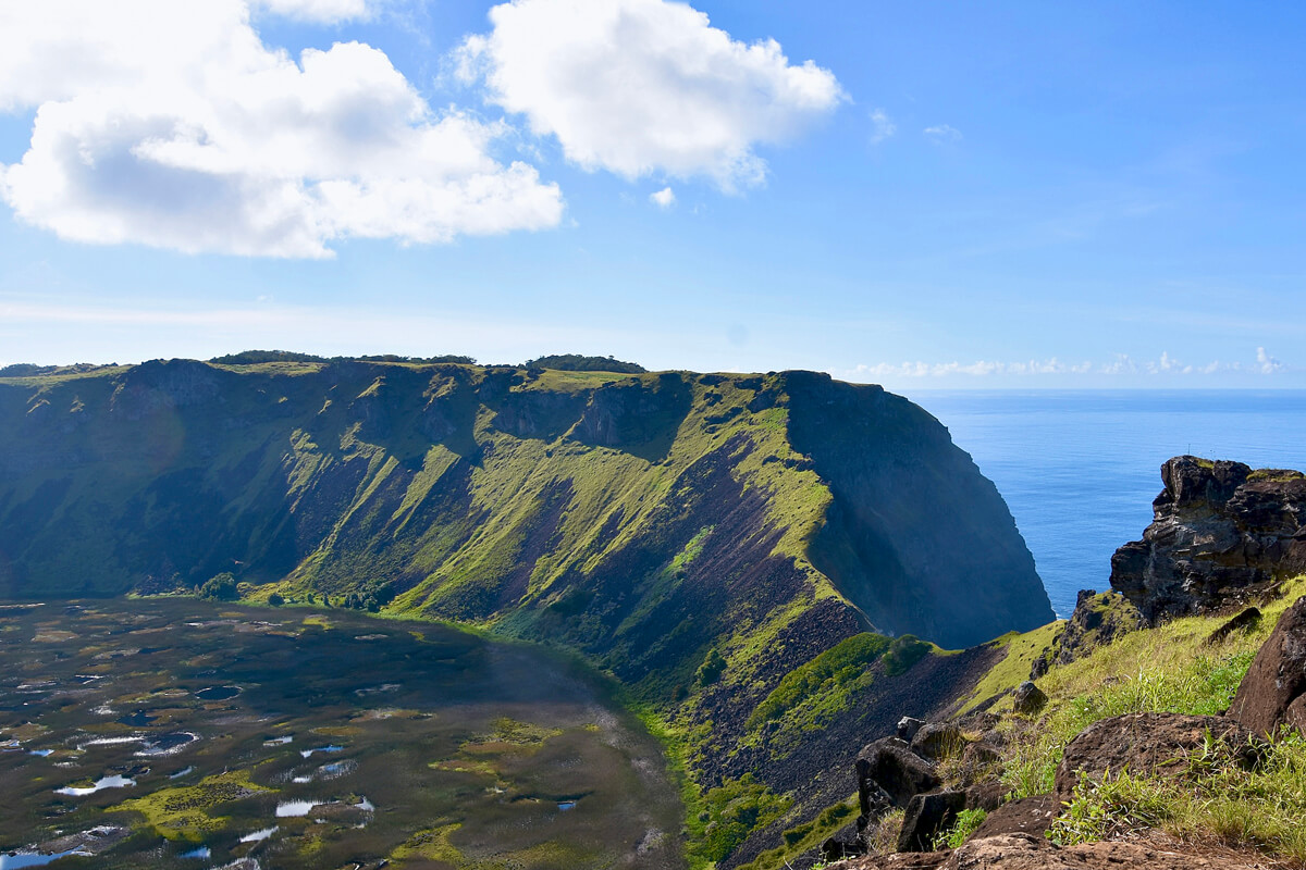 Birdman Competition Starting Point