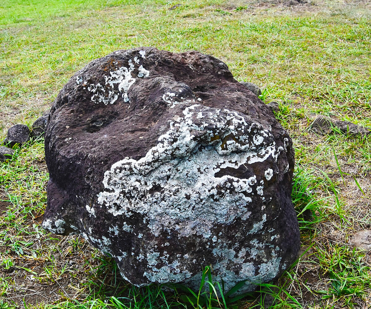 Possible Oldest of the Moias