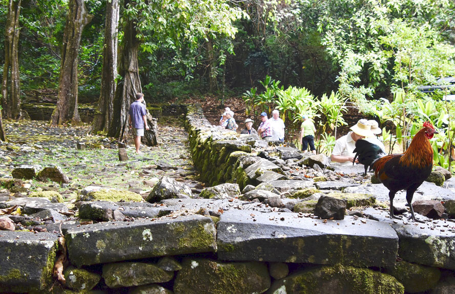 Our Group at Titiroa Marae with Red Junglefowl
