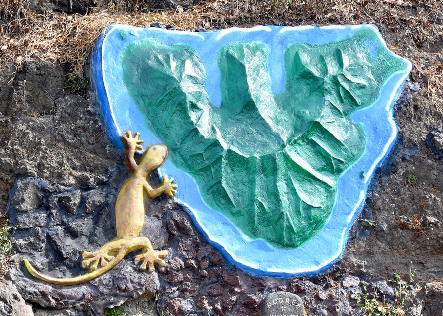 Moorea aka Yellow Lizard