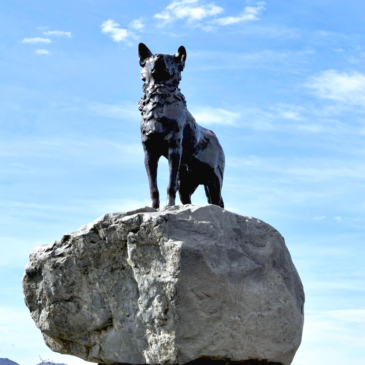 Monument to the Border Collie, Lake Tekapo