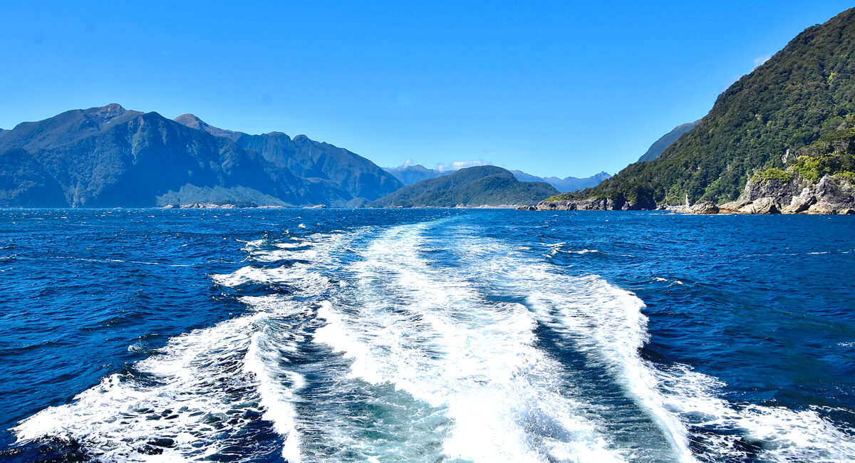 Heading to the Open Ocean