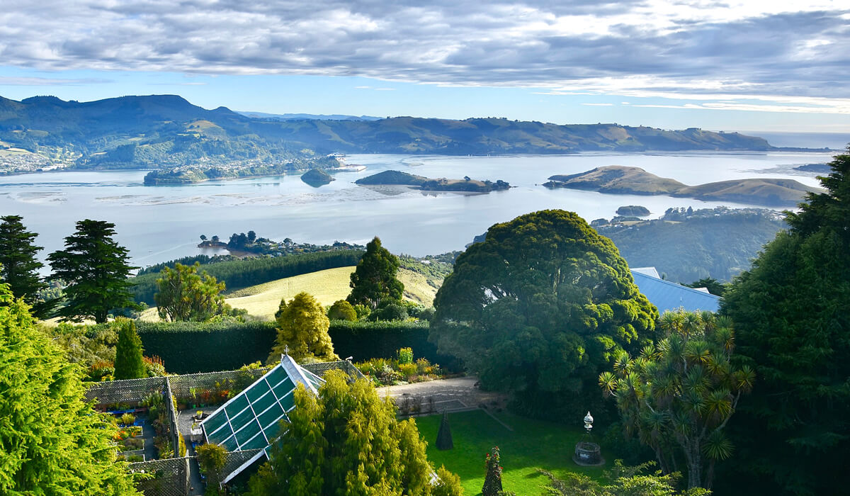 View from Larnach Castle