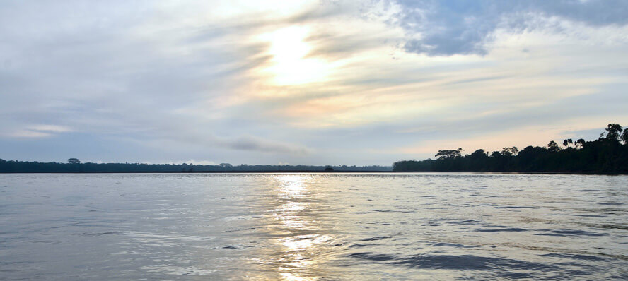 Early Morning on the Napo