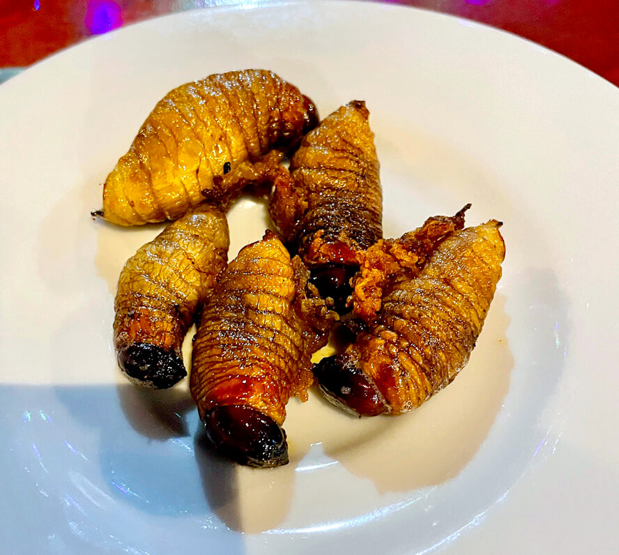 Fried Beetle Larva