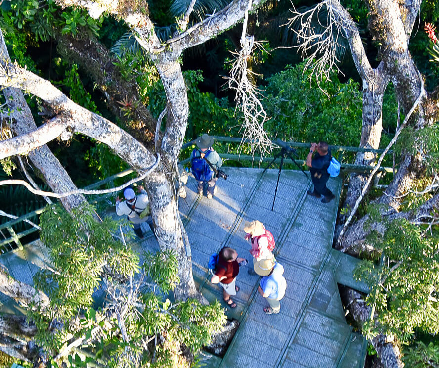 Looking Down at Our Group