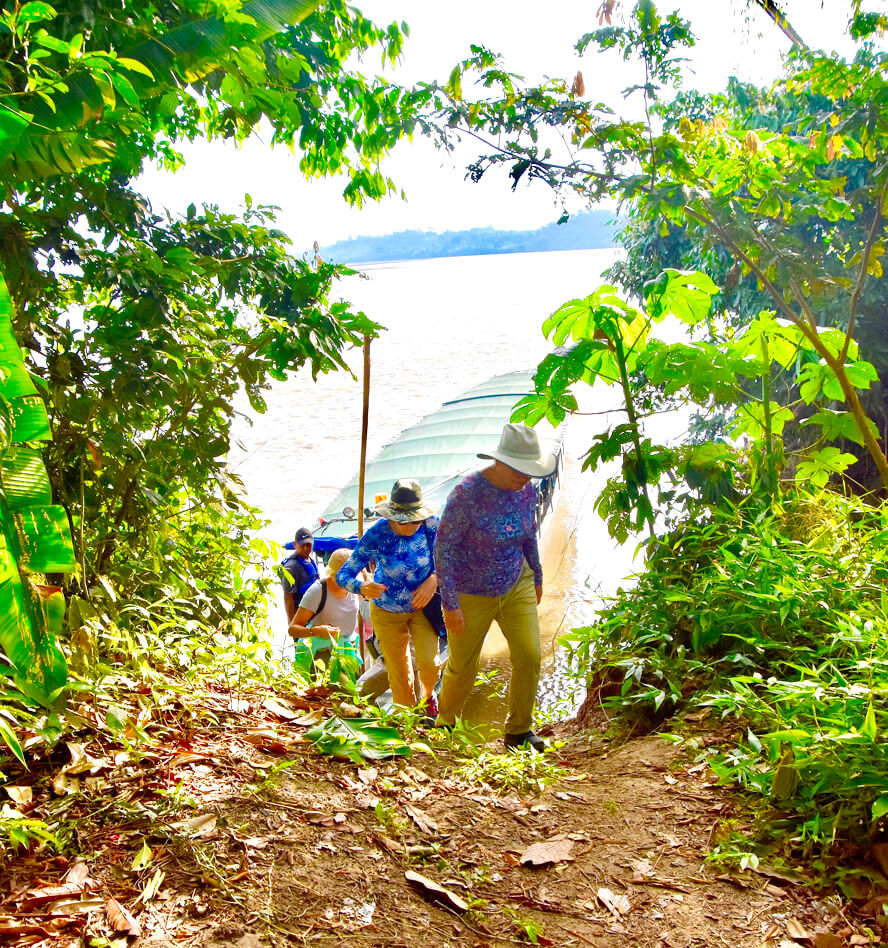 On the Way to the Second Clay Lick