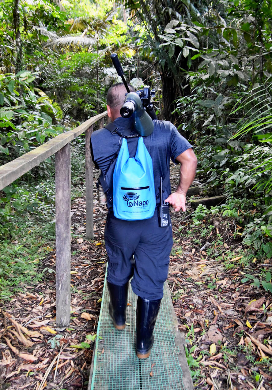 Sergio Leads the Way