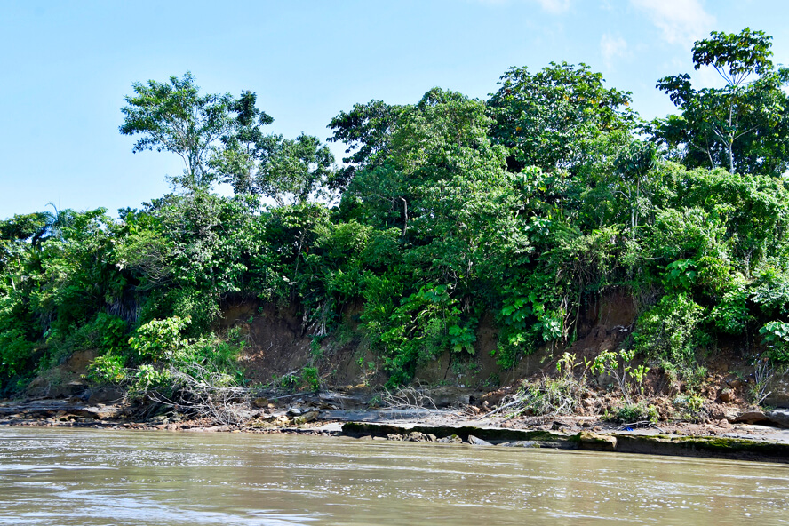 No Rock – Just Soil