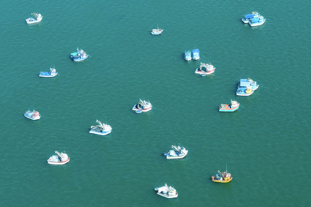 Paracas Fishing Fleet