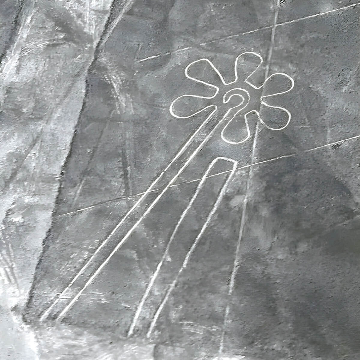 Nazca Lines Flower