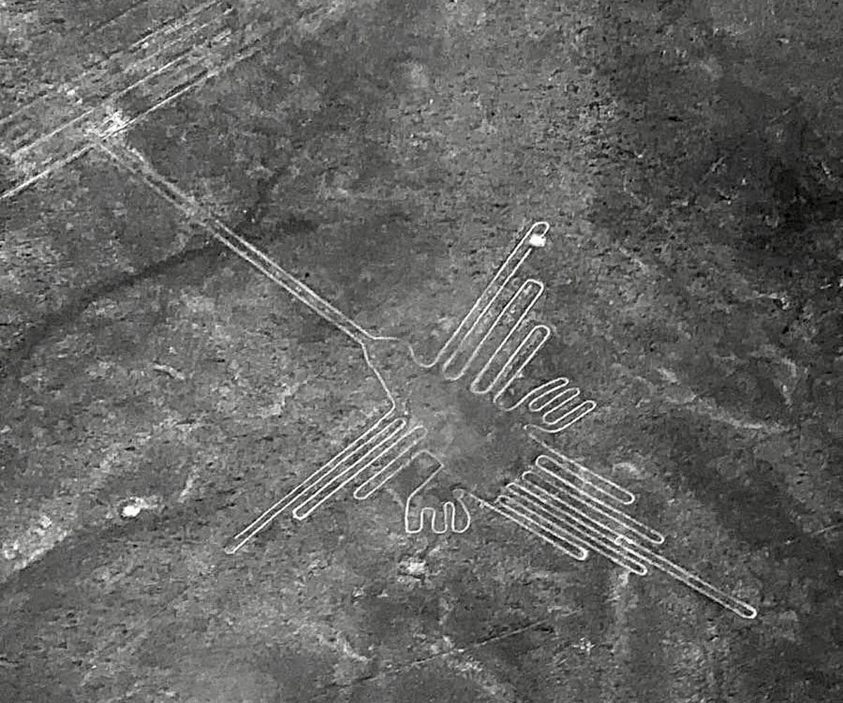Nazca Lines Hummingbird