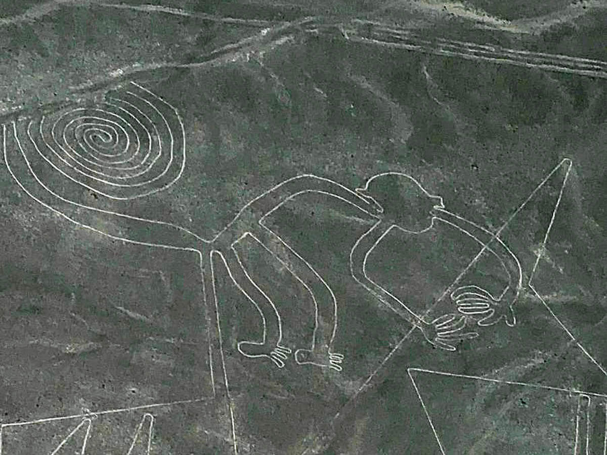 The Nazca Lines Monkey