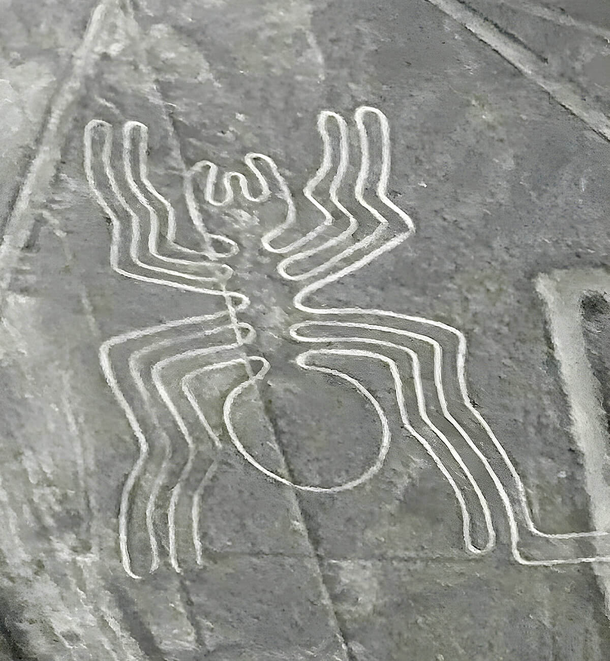 Nazca Lines Spider