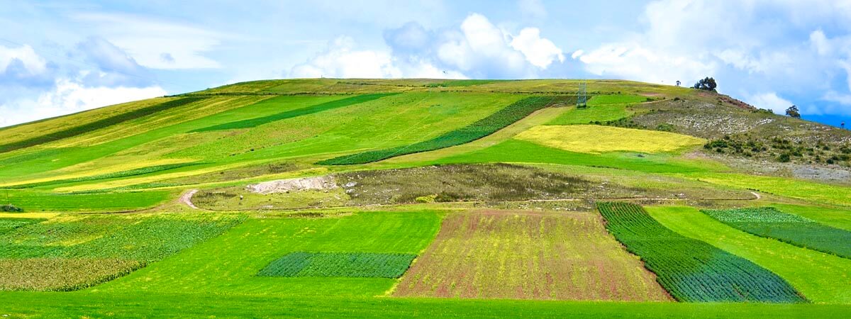 Green Fields of the Sacred Valley