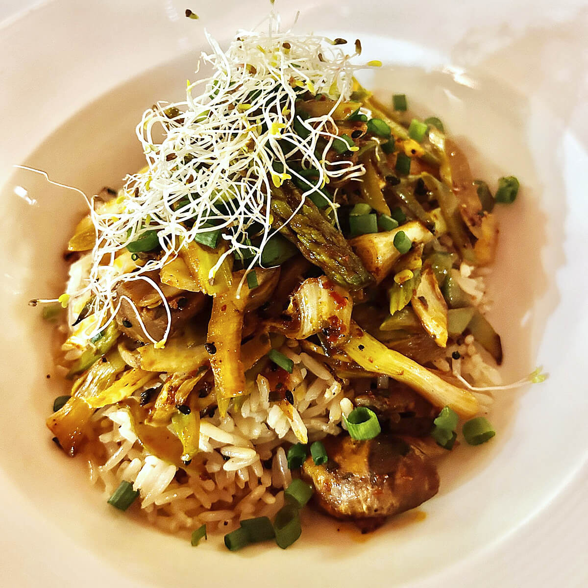 Mushroom Medley