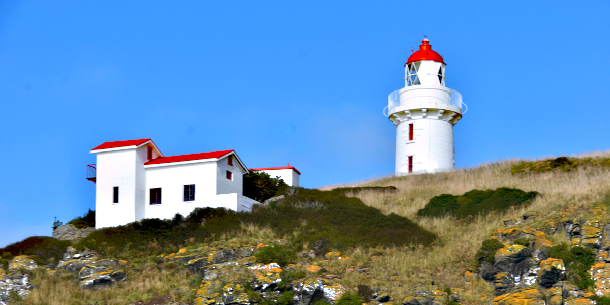 Lighthouse from the Albatross Express