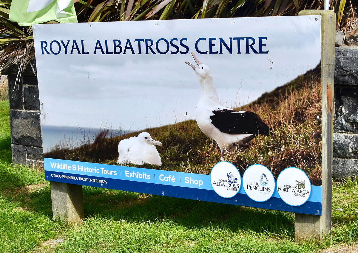 Royal Albatross Centre