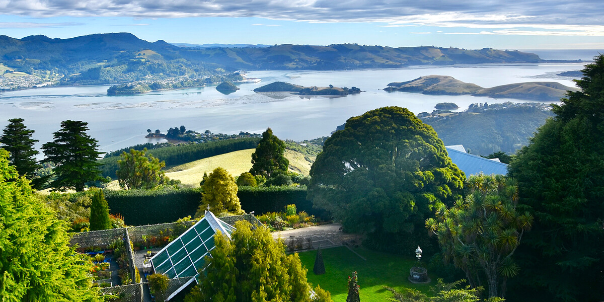 View from the Parapet